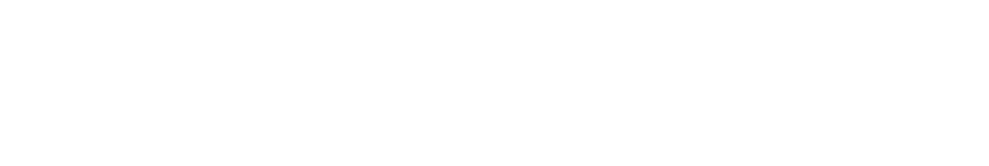 NAVIRA